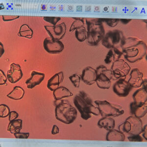 Aluminum Oxide grinding Indium Phosphide wafers